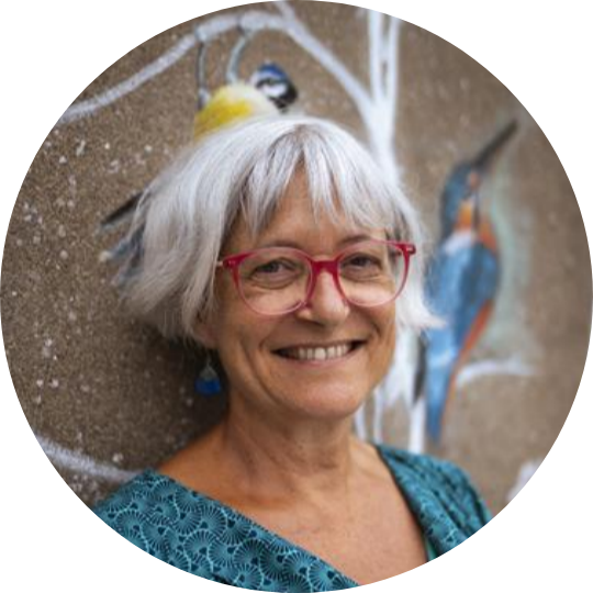 Claire Launay La vie rêvée des oiseaux