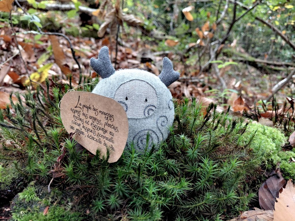 Le Petit peuple des Mousses Marianne Broggi MOHGGI