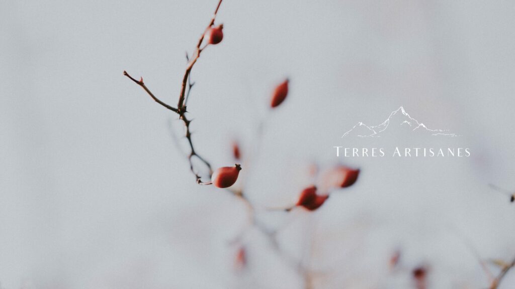 TERRES ARTISANES Boutique Artisanat