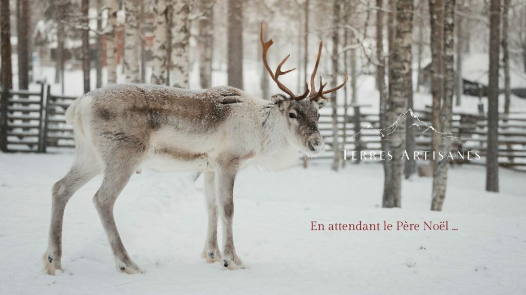 TERRES ARTISANES Boutique Artisanat