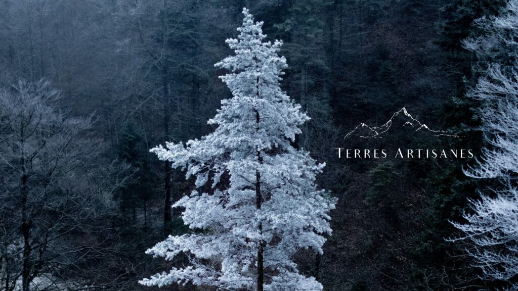 TERRES ARTISANES Boutique Artisanat