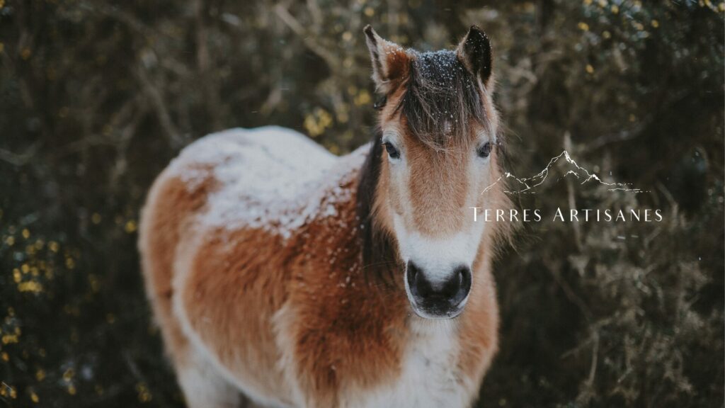 TERRES ARTISANES Boutique Artisanat