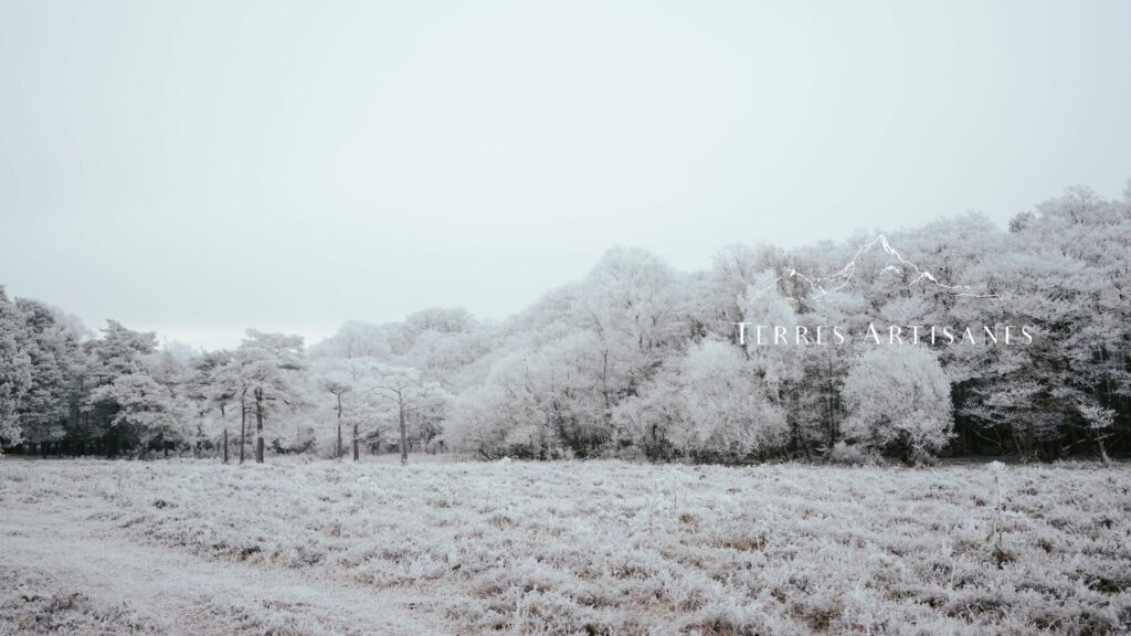 TERRES ARTISANES Boutique Artisanat