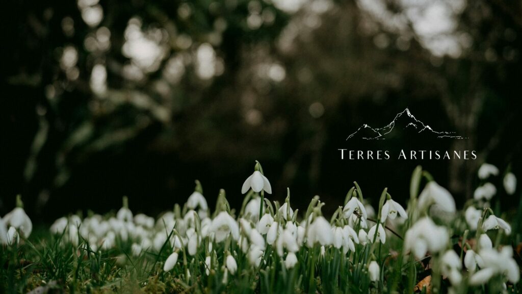 TERRES ARTISANES Boutique Artisanat