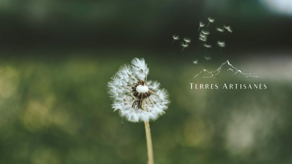 TERRES ARTISANES Boutique Artisanat Cadeau Offrir Made in France