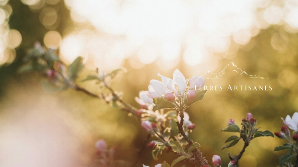 TERRES ARTISANES Boutique Artisanat Made in France