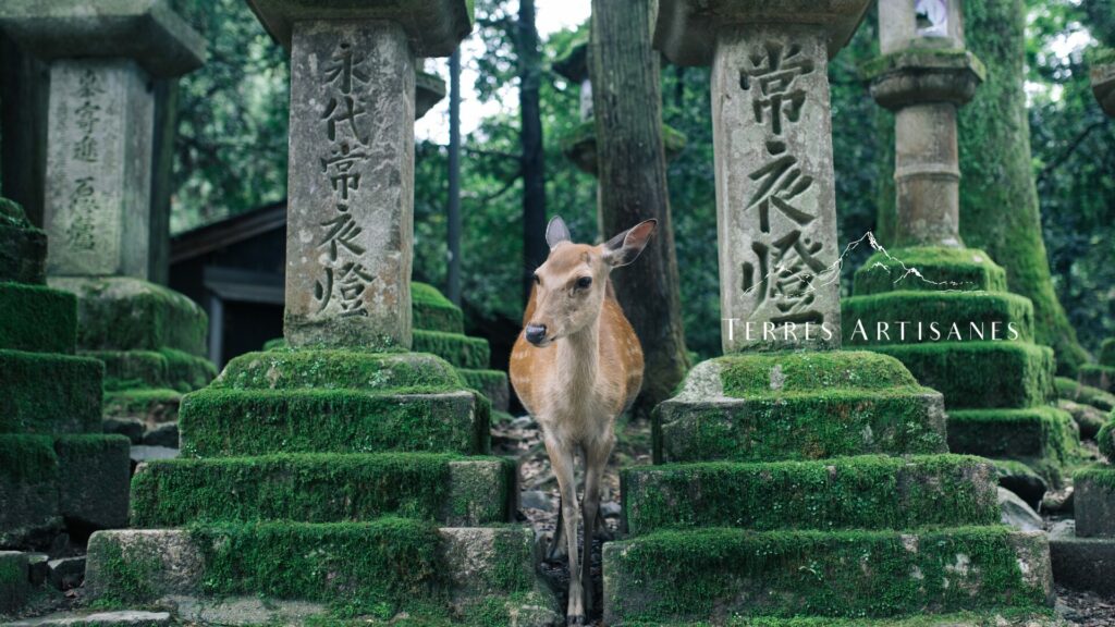 TERRES ARTISANES Boutique Artisanat Made in France