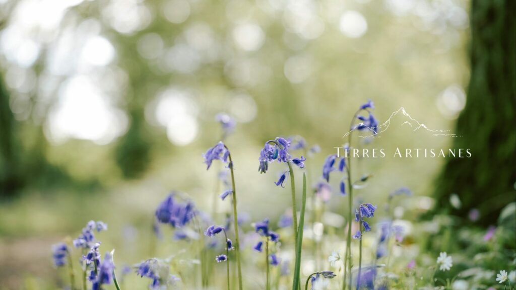 TERRES ARTISANES Boutique Artisanat Made in France