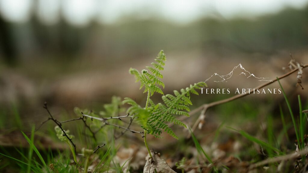 TERRES ARTISANES Boutique Artisanat Made in France