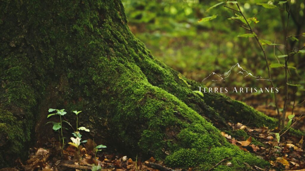 TERRES ARTISANES Boutique Artisanat Made in France
