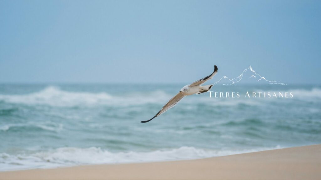 TERRES ARTISANES Boutique Artisanat Made in France