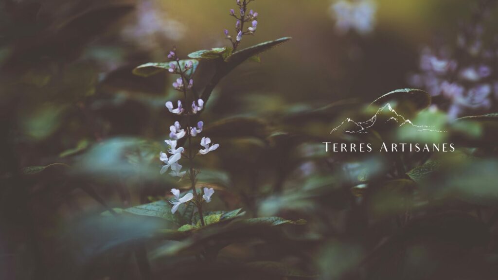 TERRES ARTISANES Boutique Artisanat Made in France