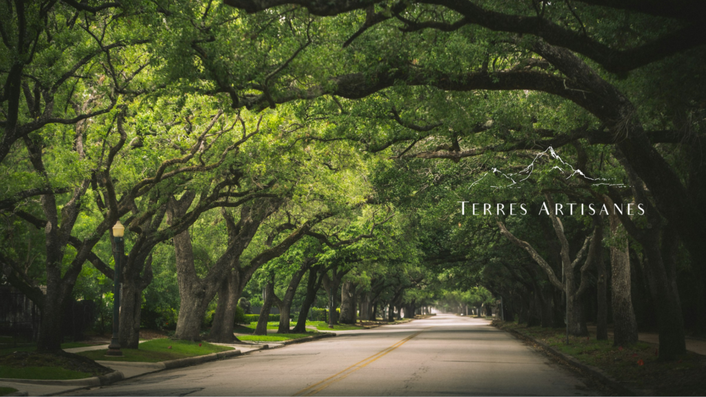 TERRES ARTISANES Boutique Artisanat