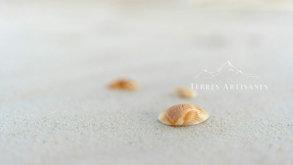 TERRES ARTISANES Boutique Artisanat Made in France