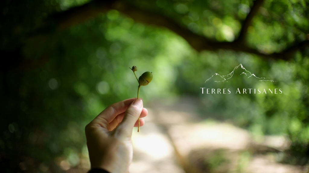 TERRES ARTISANES Boutique Artisanat