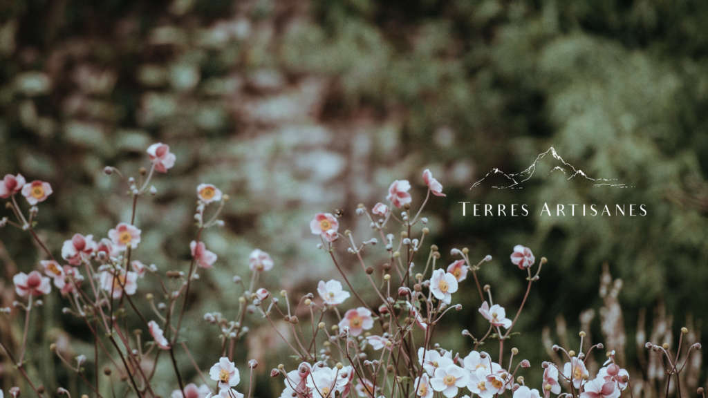 TERRES ARTISANES Boutique Artisanat