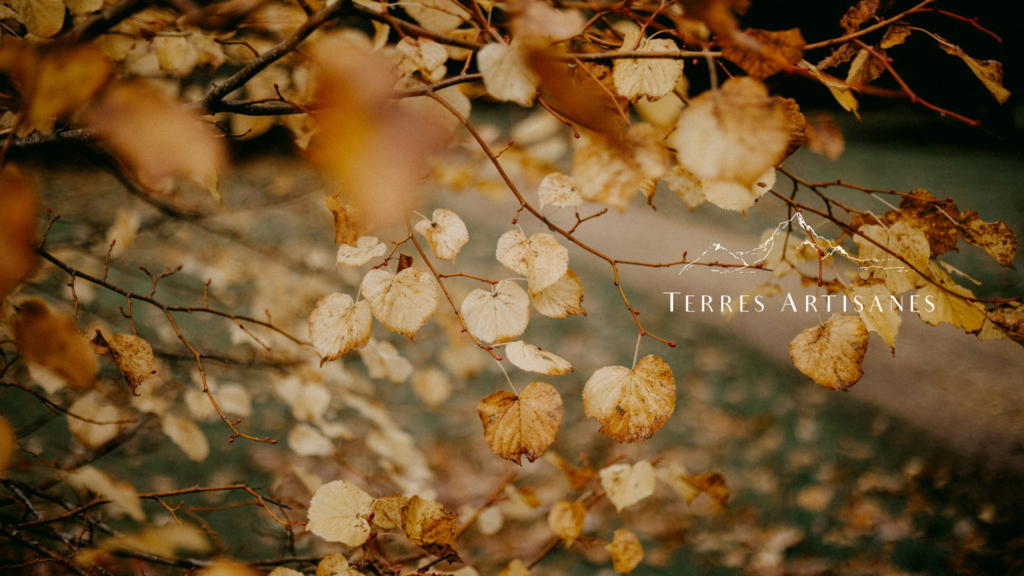 TERRES ARTISANES Boutique Artisanat